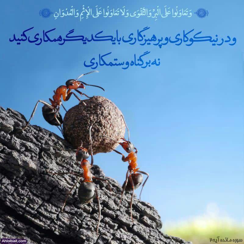 تصویر کوچک